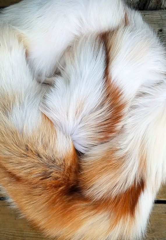 Sunglow Fox