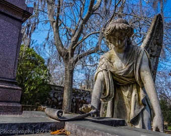 Laurel Grove cemetery Savannah Georgia