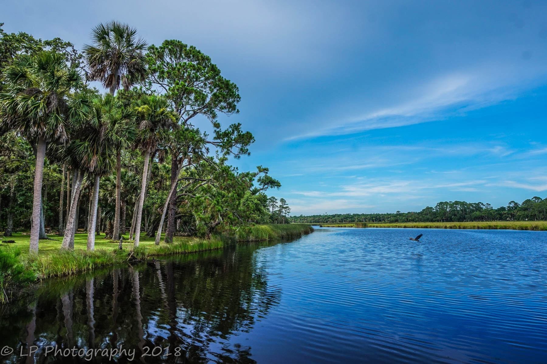 Bulow Creek State Park Etsy