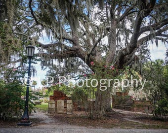 Cimitero del Colonial Park, Savannah Georgia