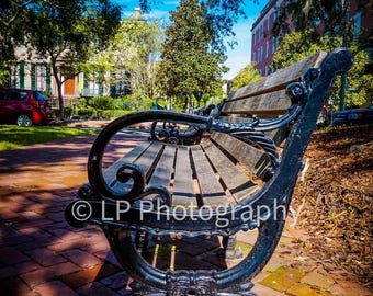 Savannah Park Bench Photography Print