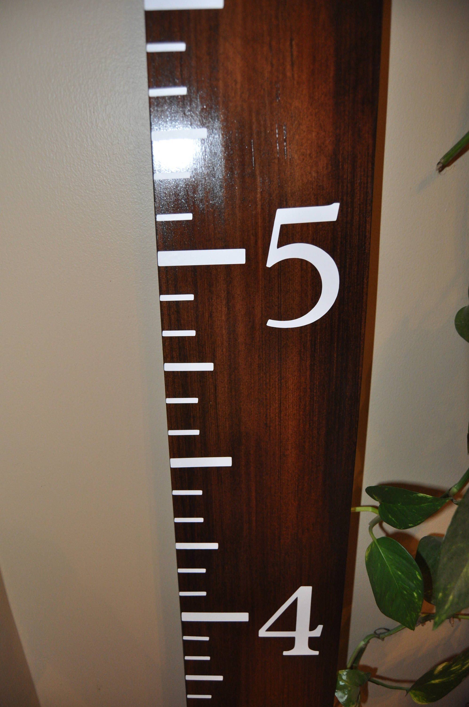 Growth Chart Etsy