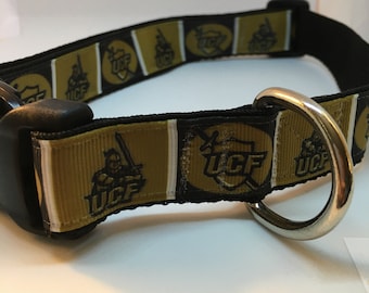 1" University of Central Florida Knights Dog Collar, NCAA, college, football