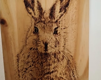 May include: A woodburned image of a rabbit on a wooden plaque. The plaque is signed "Diana McCoy".