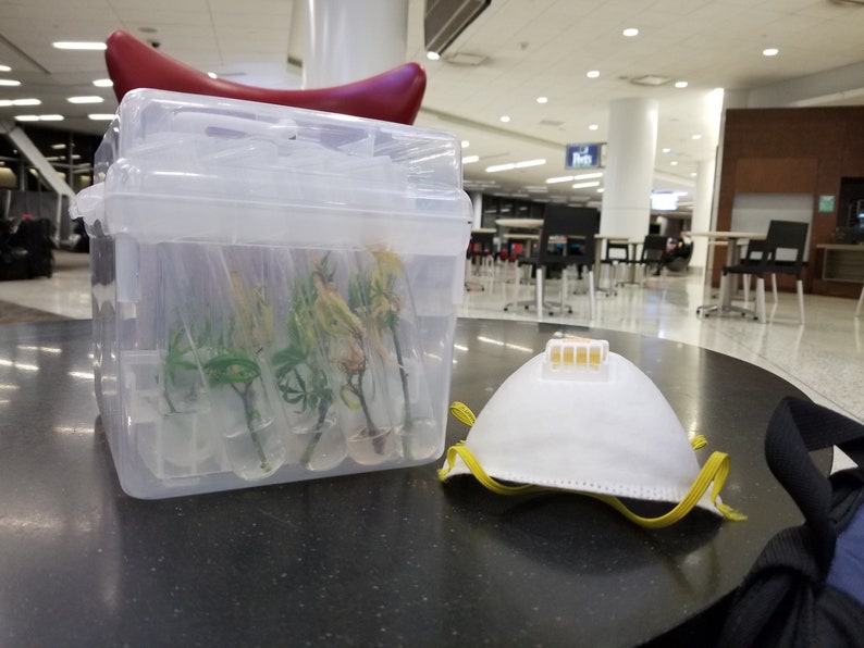 Glass Culture Tubes & Tray 36 Tubes in Autoclave Rack Etsy