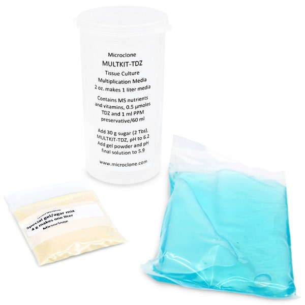 Plant Tissue Culture Etsy