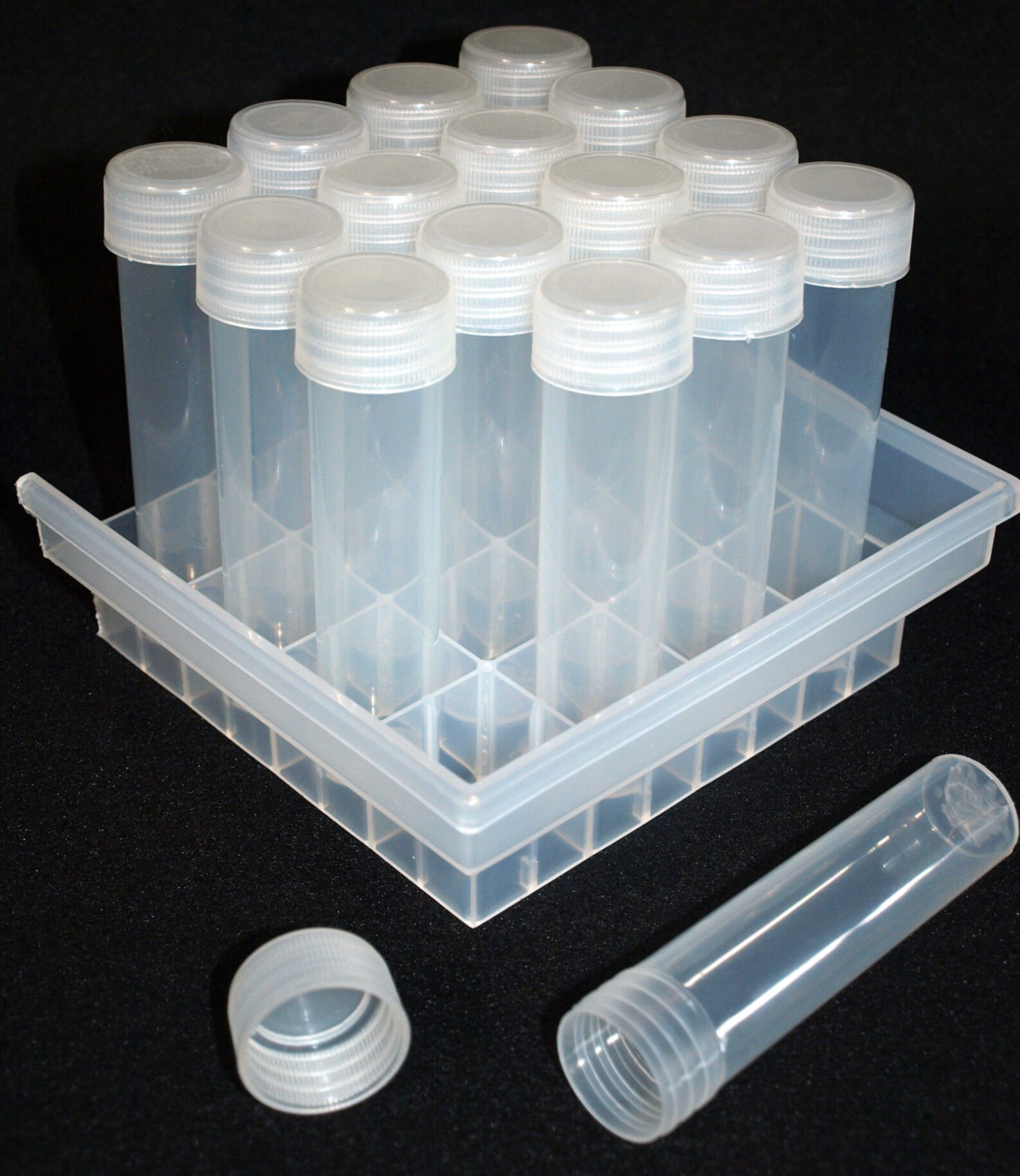 Microclone Plant Tissue Culture Kitclones Store Etsy Australia
