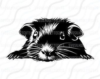 Peeking Guinea Pig SVG, Guinea Pig SVG, Animal SVG Cut table Design,svg,dxf,png Use With Silhouette Studio & Cricut_Instant Download