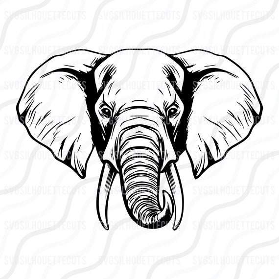 Elephant Ornate t-shirt design png - Buy t-shirt designs