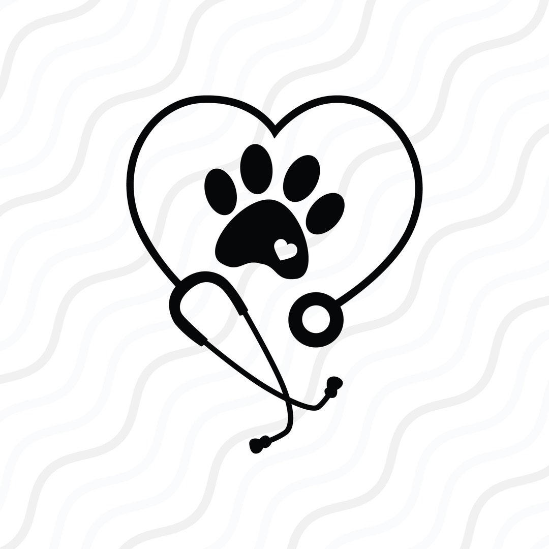 Veterinary Stethoscope Paws Decal Sticker, Custom Made In the USA, Fast  Shipping