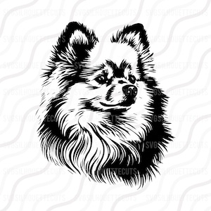 Pomeranian Dog SVG, Dog Svg, Pomeranian Silhouette SVG Cut table Design, svg, dxf, png Use With Silhouette Studio & Cricut Instant Download