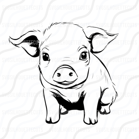 Baby Pig SVG, Pig SVG, Cute Pig SVG Cut Table Design,svg,dxf,png Use With  Silhouette Studio & Cricut_instant Download - Etsy