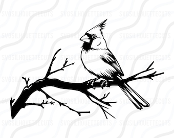 Cardinal Bird SVG, Red Cardinal SVG, Bird SVG Cut table Design,svg,dxf,png Use With Silhouette Studio & Cricut_Digital Download