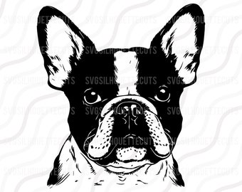 Puede incluir: Silueta en blanco y negro de la cabeza de un Bulldog Francés. El perro mira directamente al espectador con las orejas levantadas.