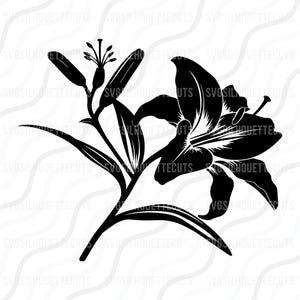 Lilie Blume SVG, Lilie Silhouette SVG, Floral svg, Lilie SVG Cuttable Design,svg,dxf,png Verwenden Sie mit Silhouette Studio & Cricut_Instant Download