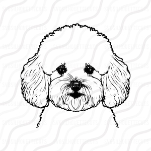 Bichon Frise Dog SVG, Bichon Frise Head Silhouette SVG Cut table Design ,svg,dxf,png Use With Silhouette Studio & Cricut Instant Download