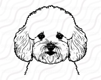 Bichon Frise Dog SVG, Bichon Frise Head Silhouette SVG Cut table Design ,svg,dxf,png Use With Silhouette Studio & Cricut Instant Download