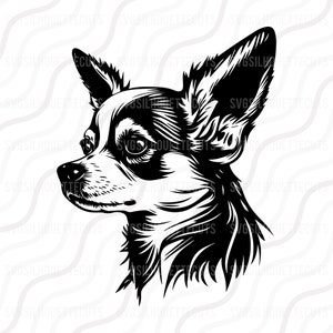 Chihuahua Dog, Dog Svg, Chihuahua Head Silhouette SVG Cut table Design, svg, dxf, png Use With Silhouette Studio & Cricut Instant Download