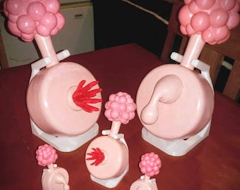 Plumbus w/ Stand+Manual