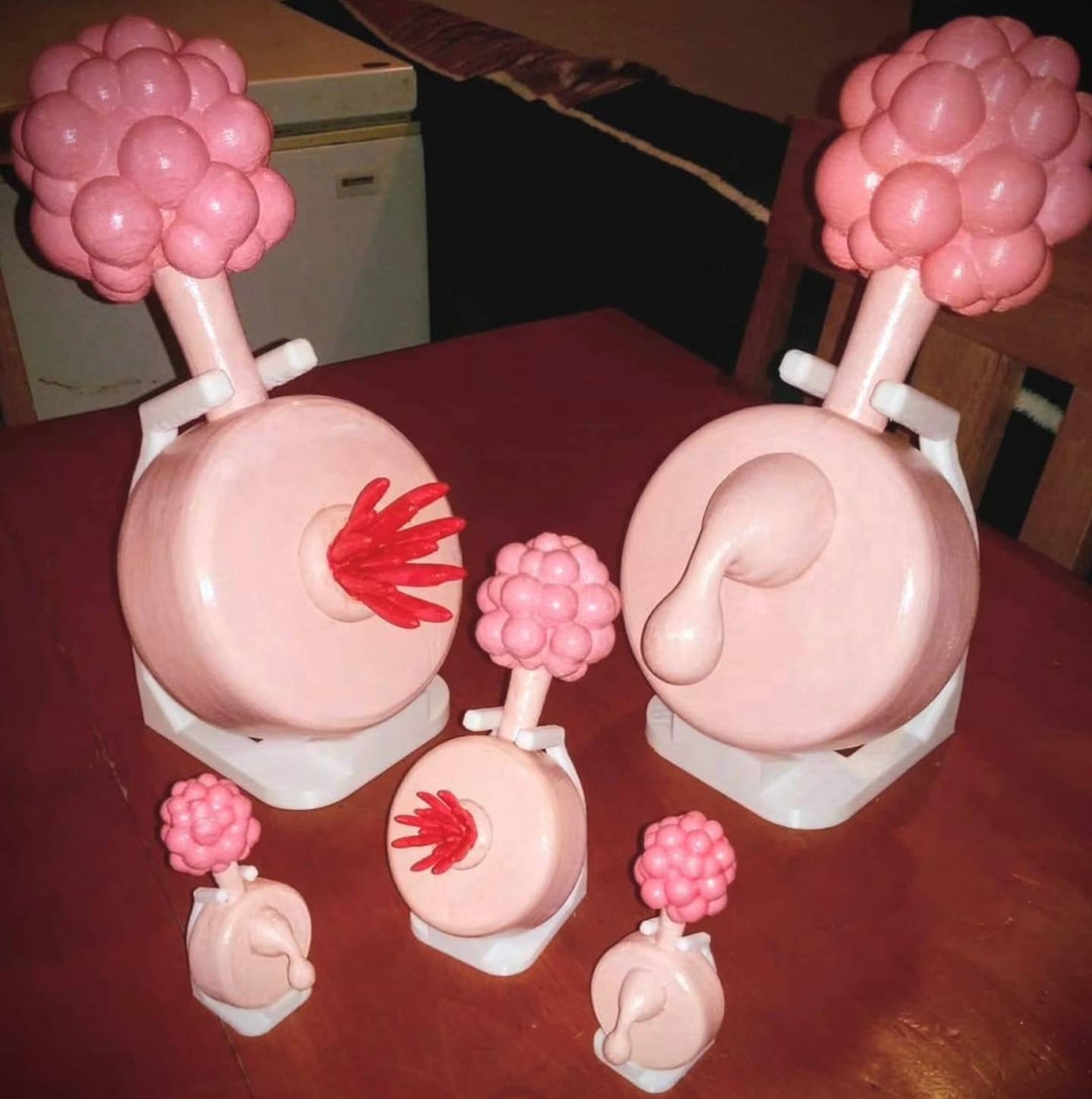 Plumbus and Owners Manual - Etsy