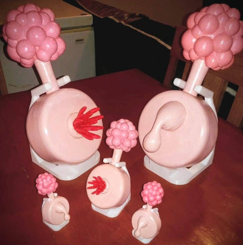Plumbus and Owners Manual image 1