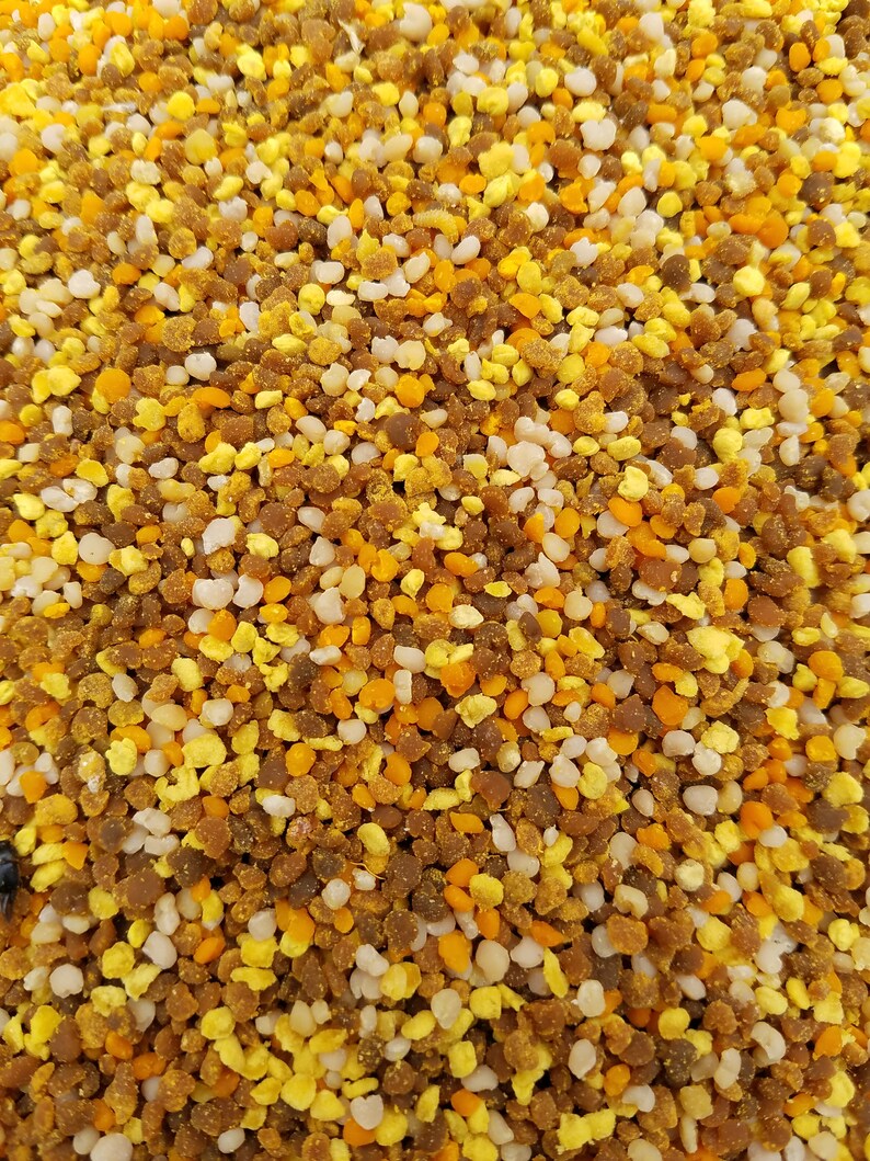 Fresh Raw Bee Pollen From Our Hives. Frozen. All Natural From Etsy