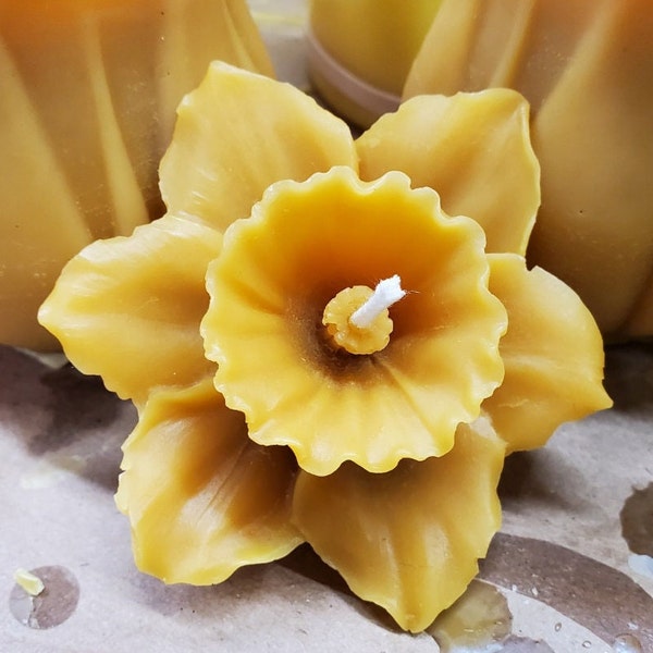 Pure Beeswax Daffodil Candle, 100% Beeswax, Narcissus Candle, Handmade, Spring Candle