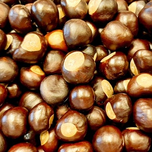 10 Buckeye Nuts