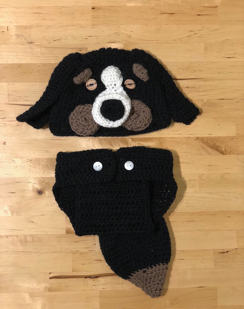 Bordercollie and Bernease Mountain Dog Dog Costumes