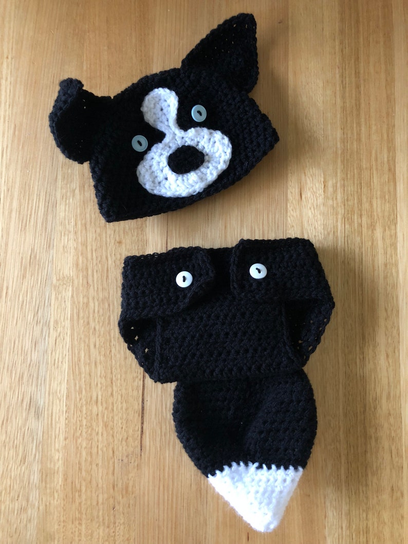 Bordercollie and Bernease Mountain Dog Dog Costumes