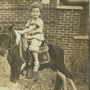 Girl on Horse Black and White Vintage Photo download
