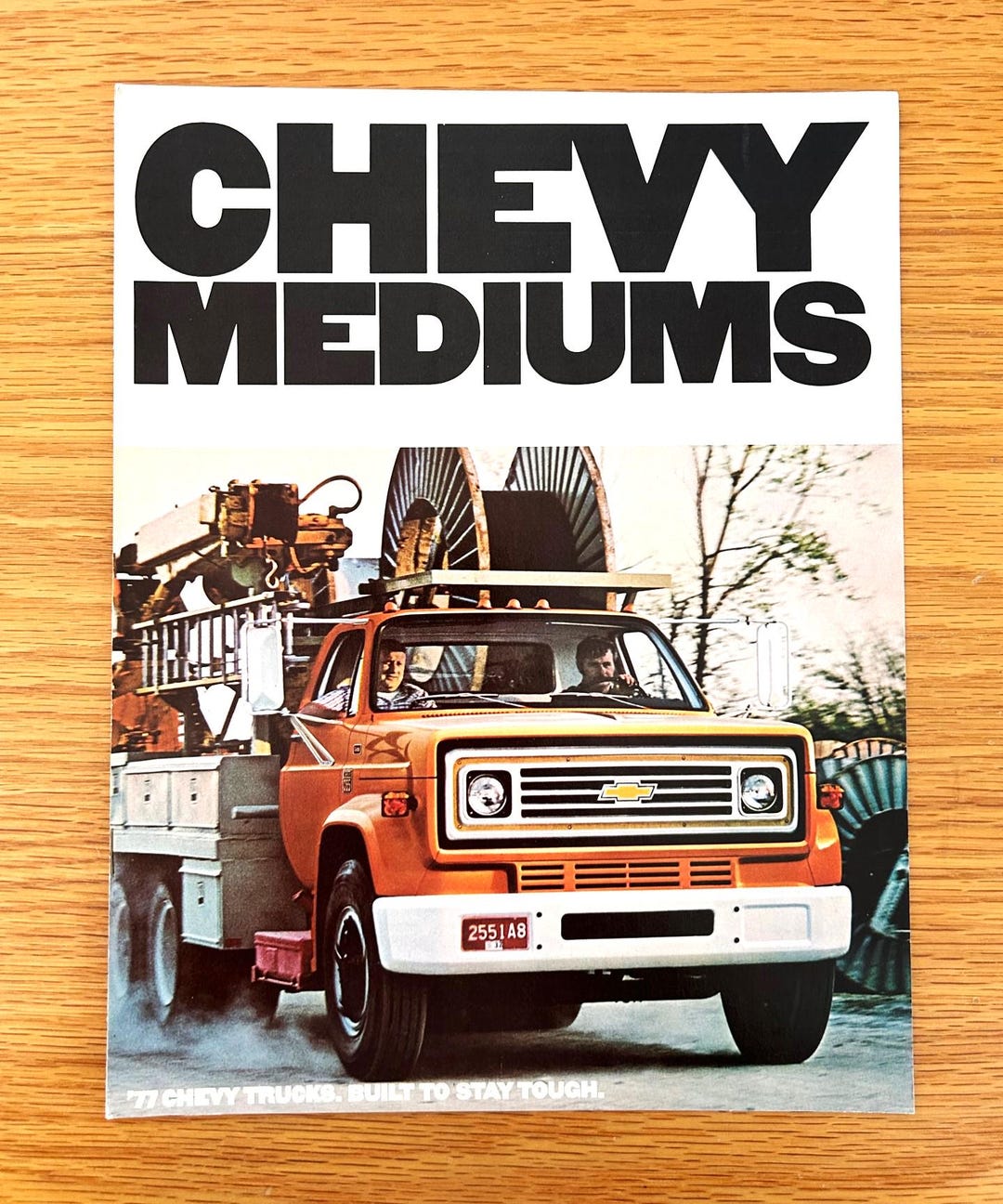 1977 Chevrolet Trucks Conventional Series 5060 65 & Tandem 65 Series