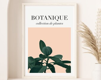 French Botanical Poster, Bedroom Wall Decor, Green Art Print, Printable flower art, Plant wall print