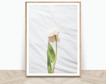 Botanical Floral Print - Minimalist Botanical Print - White Wall Decor - Digital Download