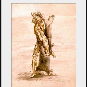 1850 Anatomy of Human Skeleton, Anatomical Drawing, NEW Fine Art Giclee  Print, Skull Bones, Autopsy Illustration, Medical Dissection, P11 