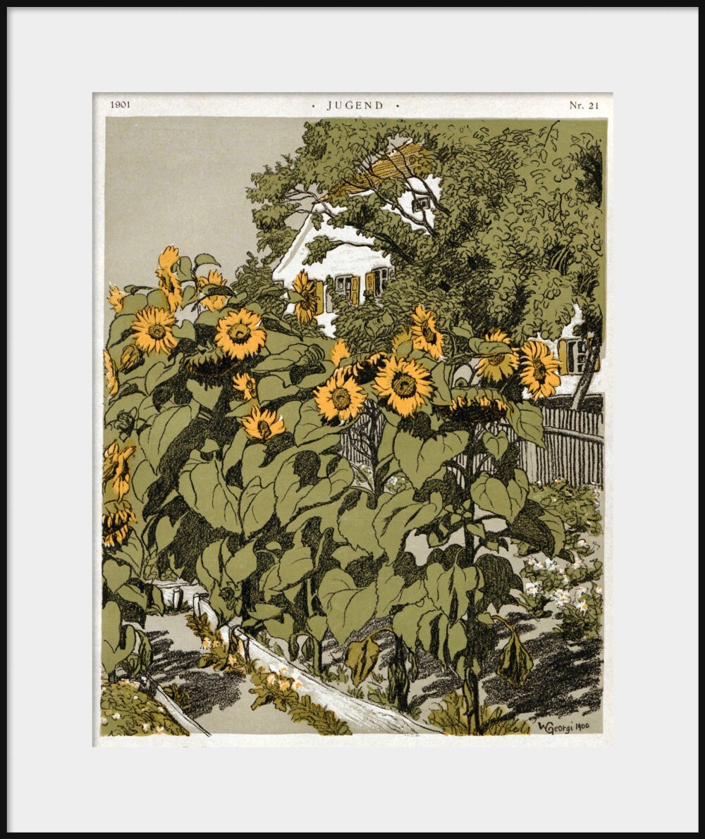 Walter Georgi Sunflower Garden Art Nouveau New Fine Art Etsy
