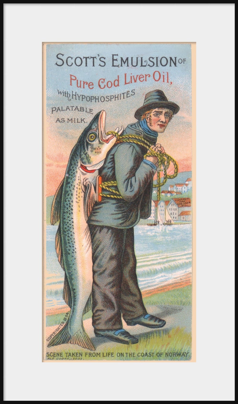 19th Century Spanish Advertisement For Emulsion De Scott, Scott's Emulsion  Of Pure Cod Liver Oil. From
