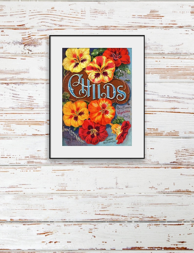 John Lewis CHILDS 1897 Flower Seed Catalog NEW Fine Art Etsy UK