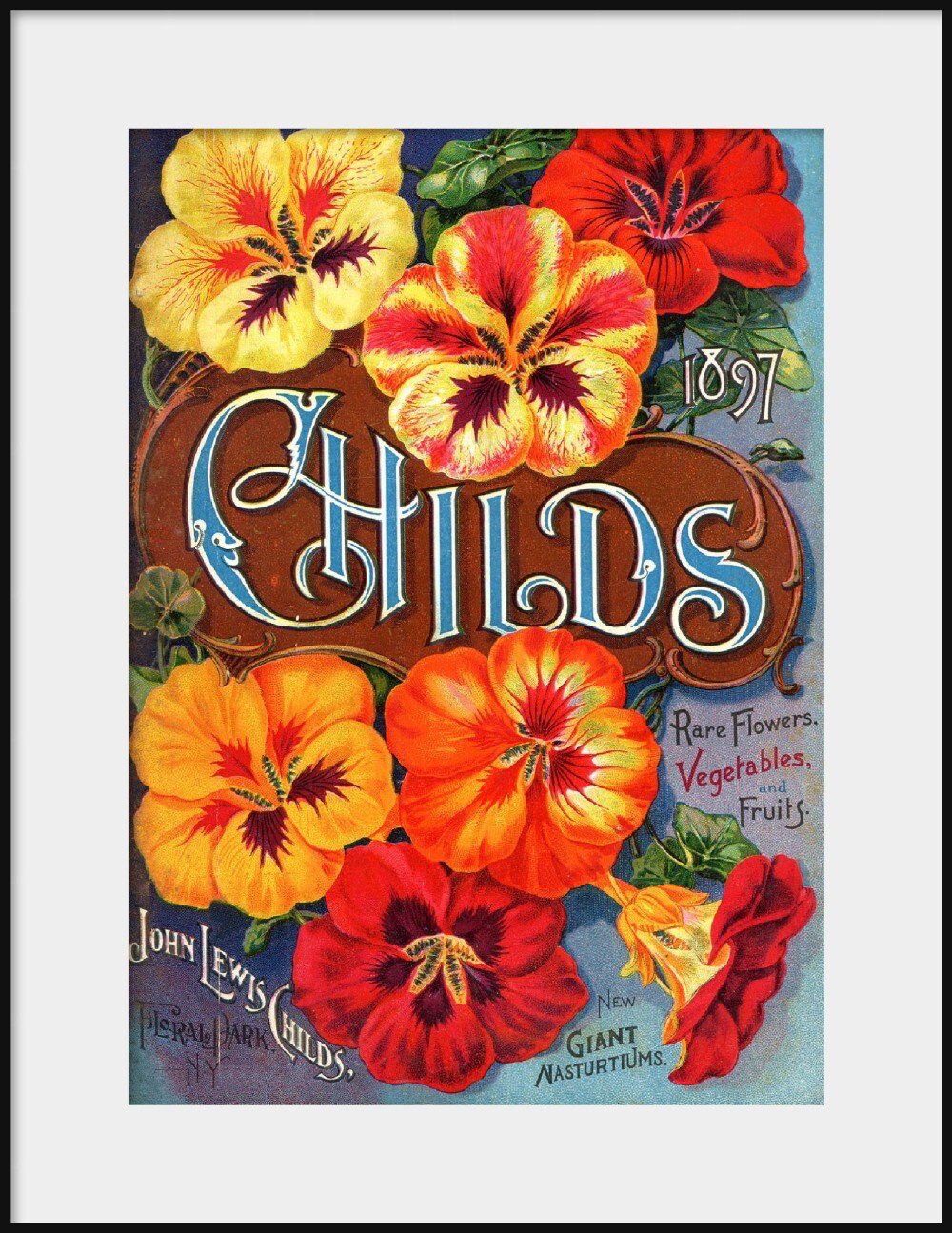 John Lewis CHILDS 1897 Flower Seed Catalog NEW Fine Art Etsy UK