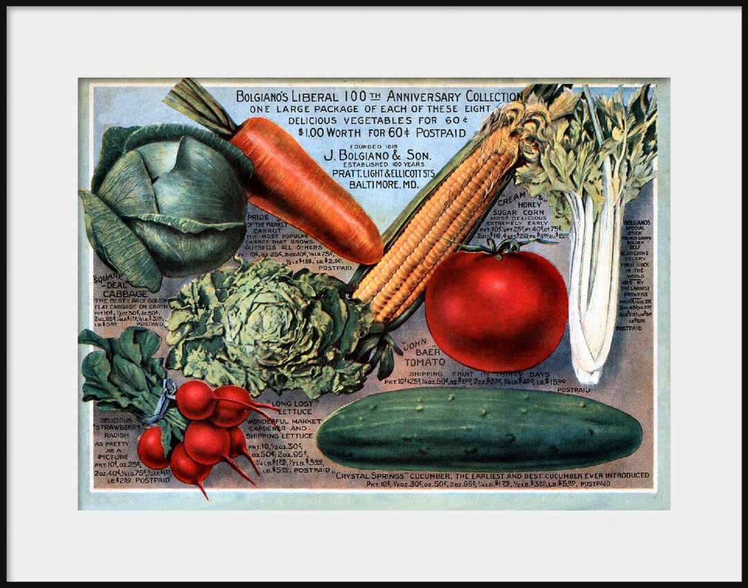 1918 BOLGIANO'S Vegetable Seed Catalog NEW Fine Art Giclee Print