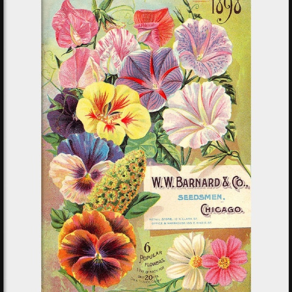 1898 W W BARNARD & CO, Seedsmen, Flower Catalog; NEW Fine Art Giclee Print; Vintage Garden Flowers; Seeds, Bulbs; Kitchen Wall Decor, P144