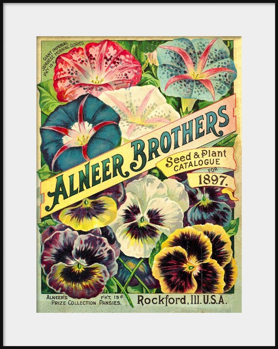 1898 C.E Allen/'s Vintage Flowers Seed Packet Catalogue Advertisement Poster
