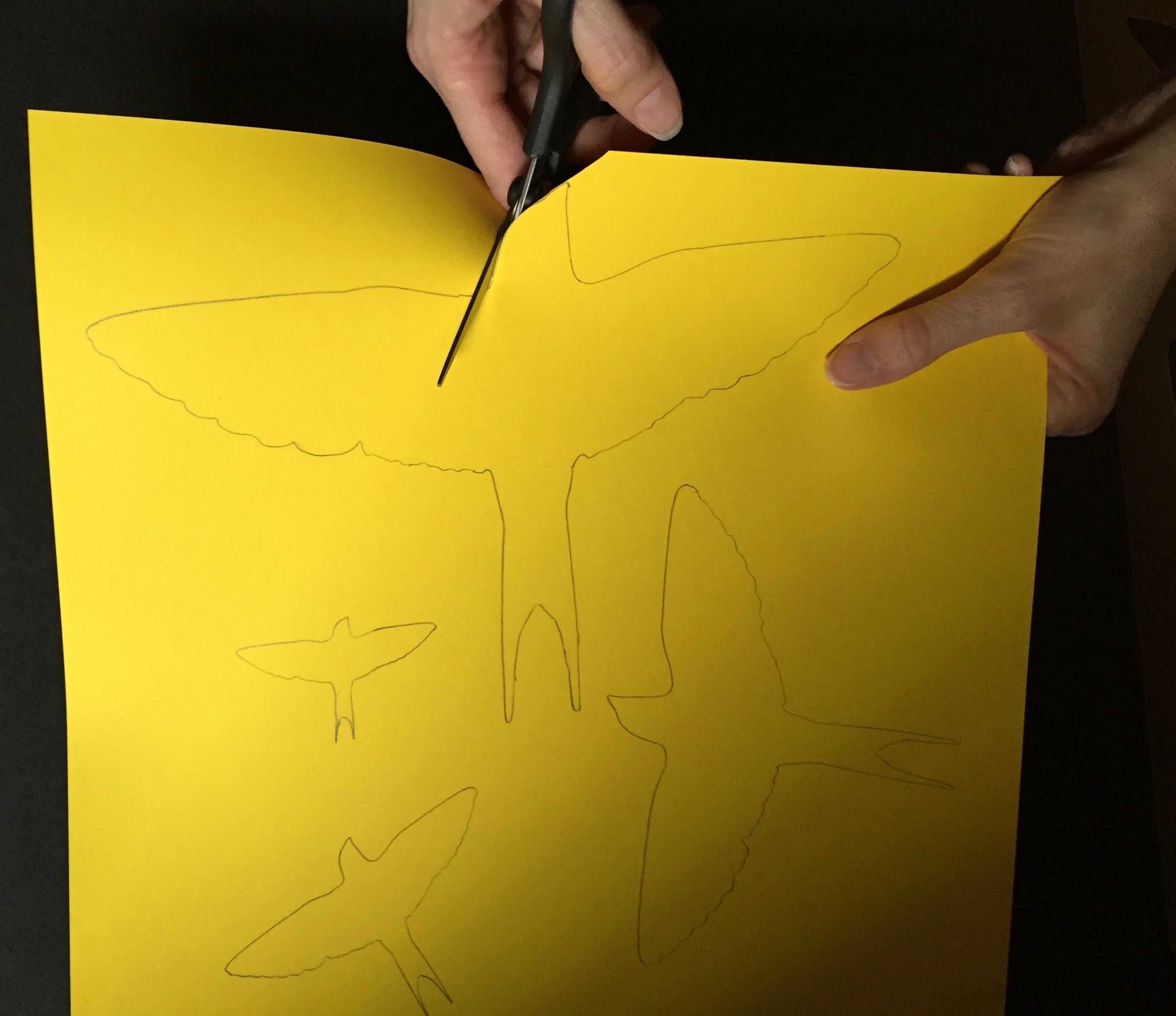 Flying Bird Stencils Collection of 6 Sizes for Use as Wall Etsy