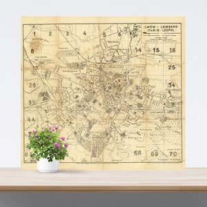 Lwow / Lemberg / Lviv / Leopol Vintage City Map on Paper, Historical City Map, Antique City Map, City Map, Lviv Vintage Ukraine Map Poster