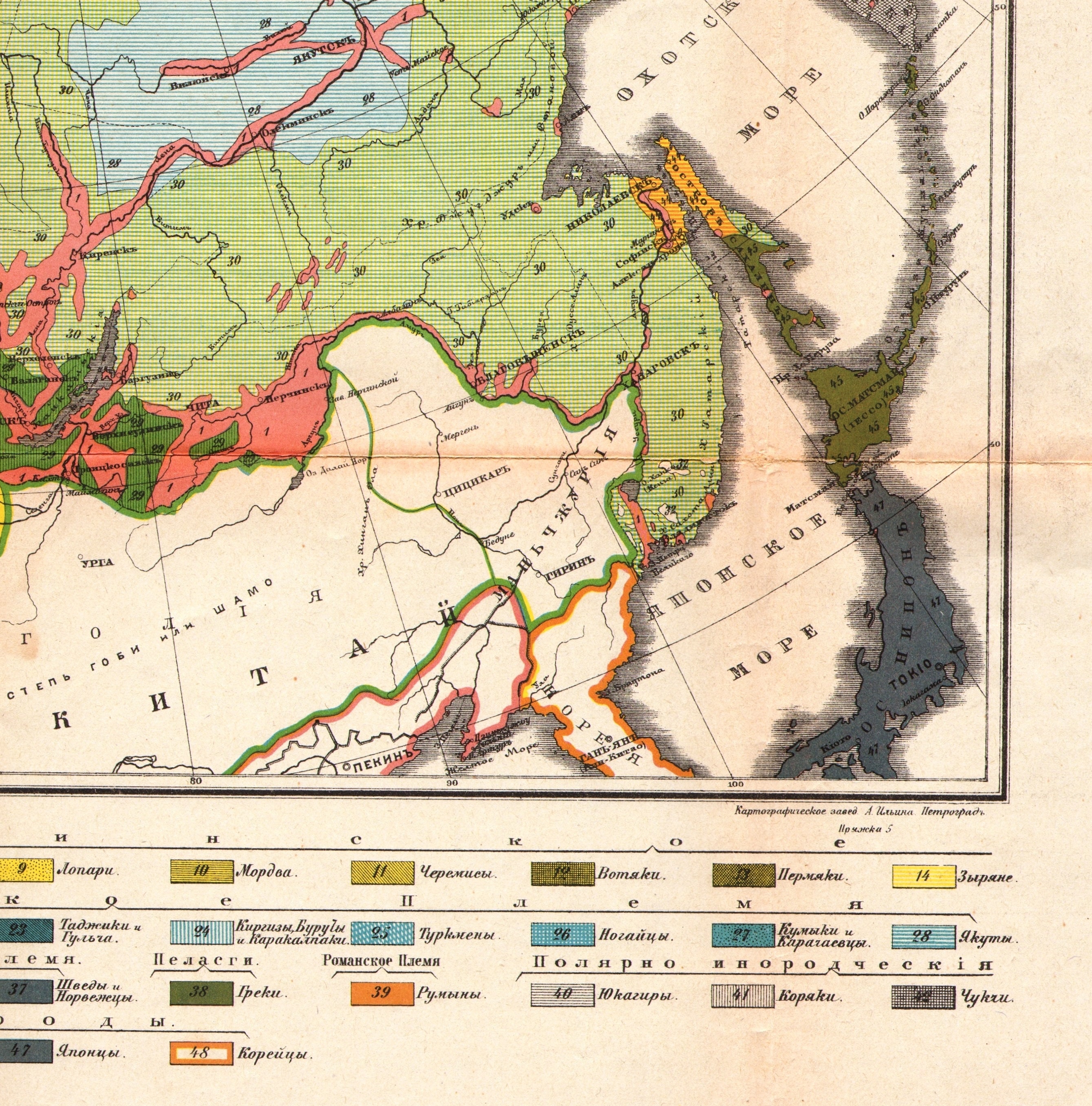 Male vs female grocery shopping statistics image