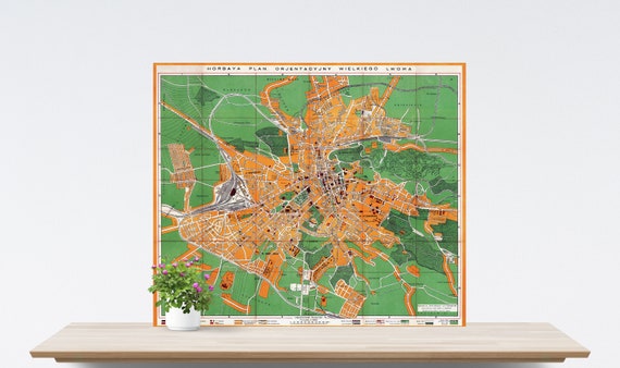 Lwów/ Lviv/ Lemberg City Map Poster on Paper. Historical City Map. Vintage City Map. Antique Map. Lemberg Ukraine Map