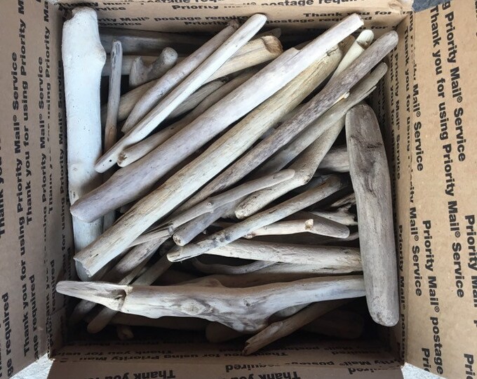Bulk Driftwood 5 Pounds Large Box of Driftwood 12x12x6 Etsy
