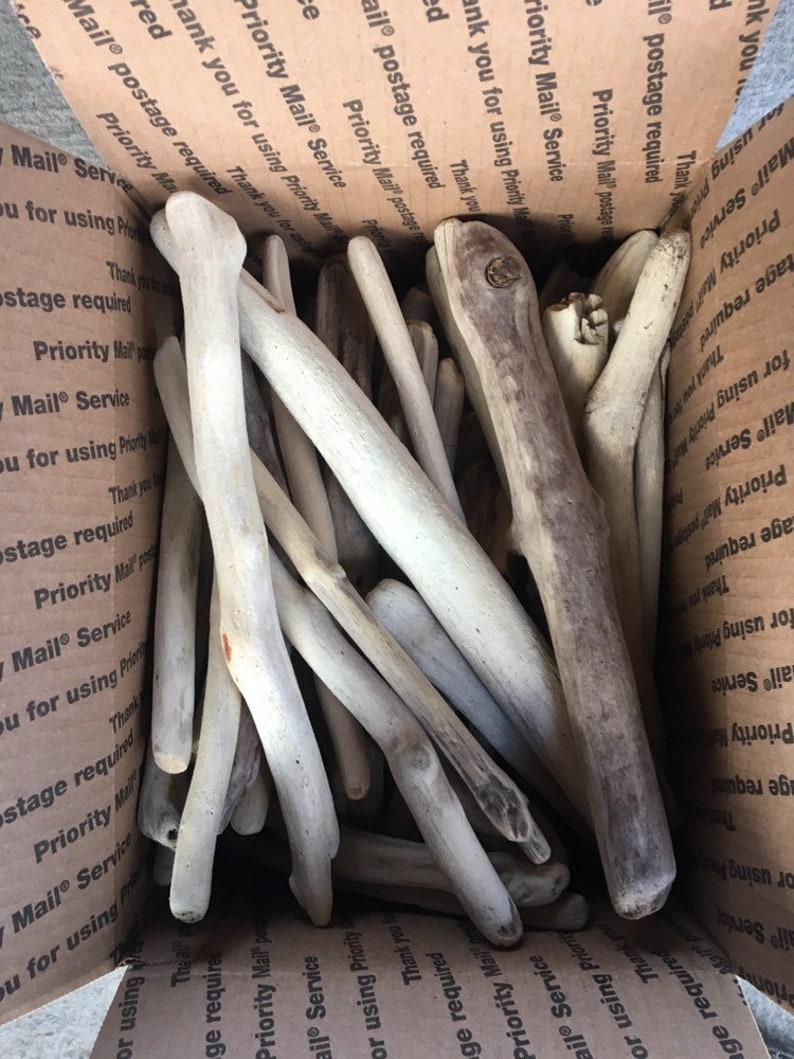Pounds 3 Bulk Driftwood Medium Box of Driftwood 11\u201dx8\u201dx5\u201d