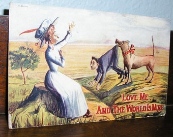 Antique post card, valentines card, joke card, pre-1910, unused, good condition, spinster card