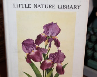 Antique, 1894, Flowers of the Field With Appendix on Grasses, Rev Johns, Flower Reference, Garden Gift - Etsy Antique, 1894, Flowers of the Field With Appendix on Grasses, Rev Johns, Flower Reference, Garden Gift - Etsy